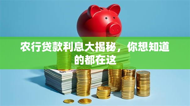农行贷款利息大揭秘，你想知道的都在这