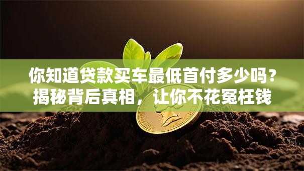 你知道贷款买车最低首付多少吗？揭秘背后真相，让你不花冤枉钱！