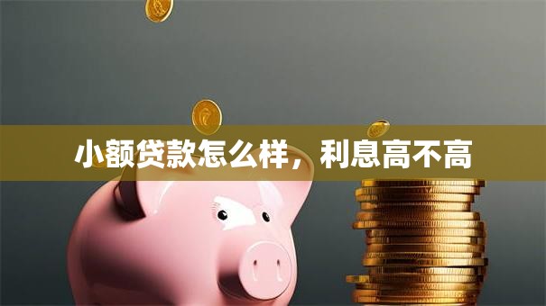 小额贷款怎么样，利息高不高