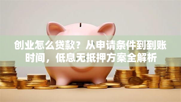 创业怎么贷款？从申请条件到到账时间，低息无抵押方案全解析