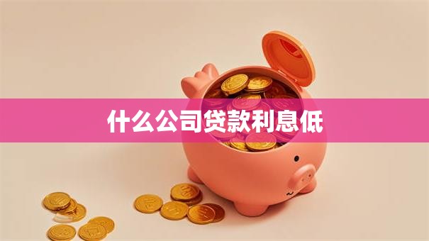 什么公司贷款利息低