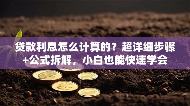 贷款利息怎么计算的？超详细步骤+公式拆解，小白也能快速学会