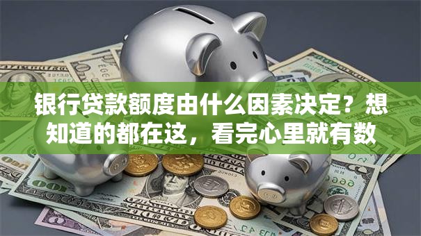 银行贷款额度由什么因素决定？想知道的都在这，看完心里就有数了