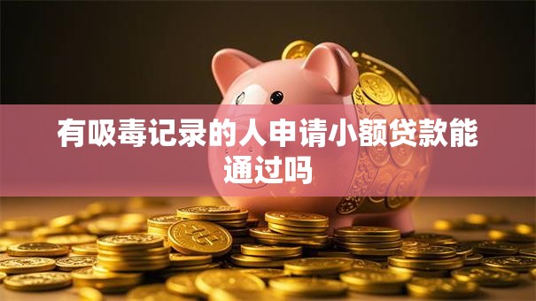 有吸毒记录的人申请小额贷款能通过吗