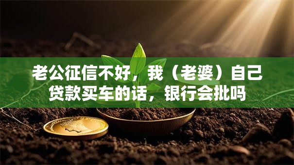 老公征信不好，我（老婆）自己贷款买车的话，银行会批吗