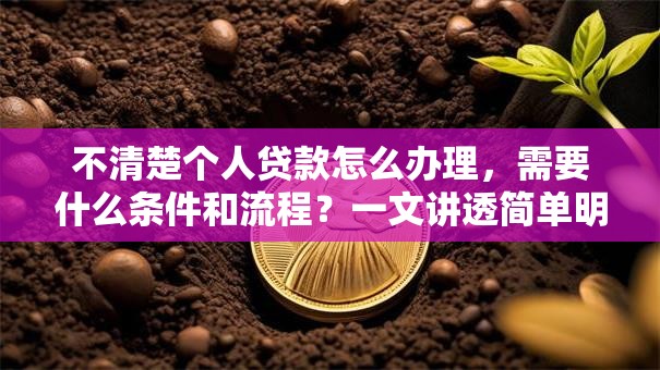 不清楚个人贷款怎么办理，需要什么条件和流程？一文讲透简单明了