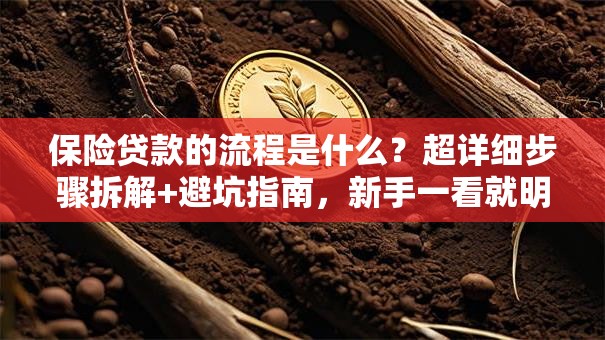 保险贷款的流程是什么？超详细步骤拆解+避坑指南，新手一看就明白