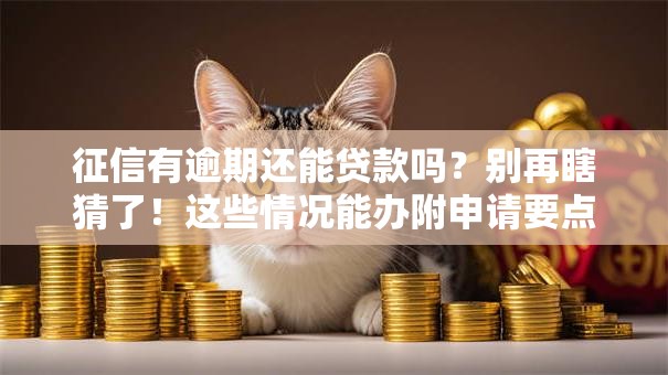 征信有逾期还能贷款吗？别再瞎猜了！这些情况能办附申请要点