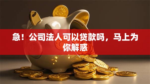 急！公司法人可以贷款吗，马上为你解惑