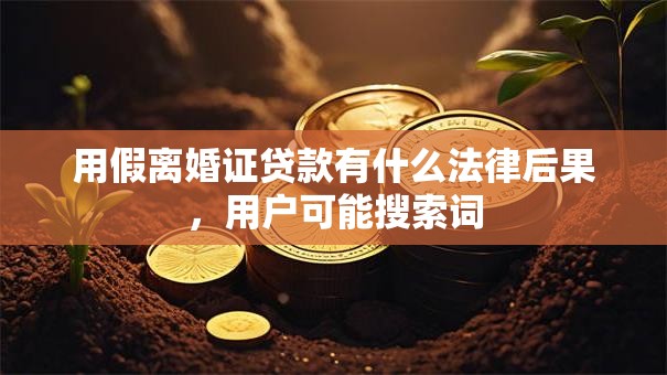用假离婚证贷款有什么法律后果，用户可能搜索词