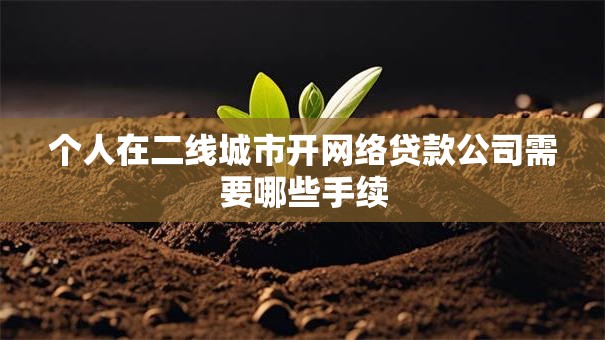 个人在二线城市开网络贷款公司需要哪些手续