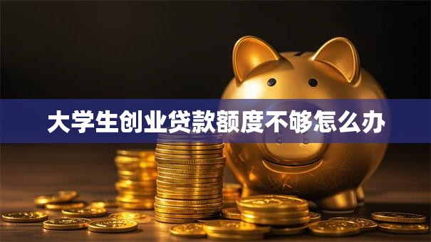 大学生创业贷款额度不够怎么办