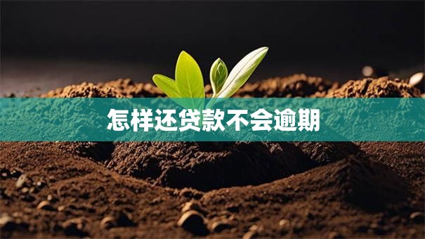 怎样还贷款不会逾期