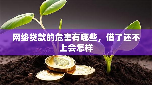 网络贷款的危害有哪些，借了还不上会怎样