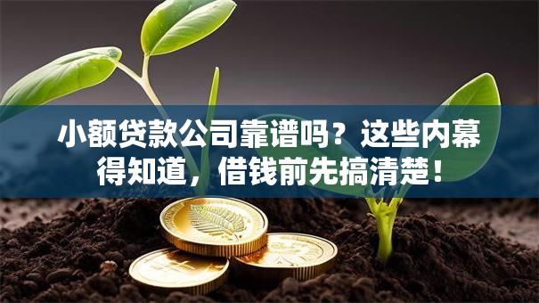 小额贷款公司靠谱吗？这些内幕得知道，借钱前先搞清楚！