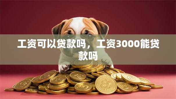 工资可以贷款吗，工资3000能贷款吗