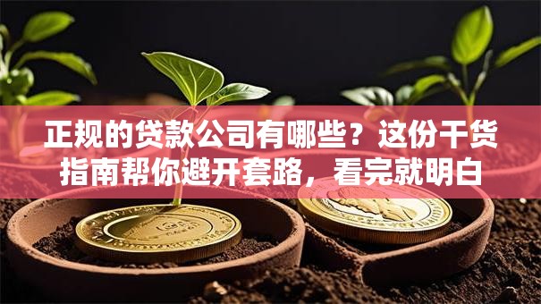 正规的贷款公司有哪些？这份干货指南帮你避开套路，看完就明白