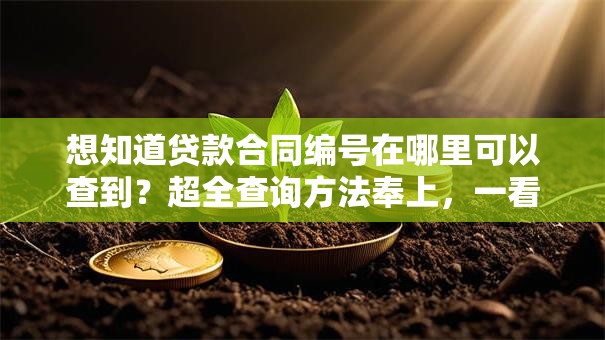 想知道贷款合同编号在哪里可以查到？超全查询方法奉上，一看就明白