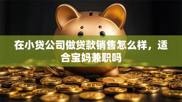 在小贷公司做贷款销售怎么样，适合宝妈兼职吗