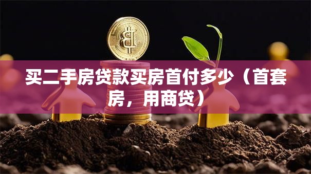 买二手房贷款买房首付多少（首套房，用商贷）