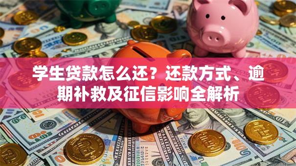 学生贷款怎么还？还款方式、逾期补救及征信影响全解析