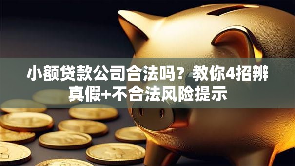 小额贷款公司合法吗？教你4招辨真假+不合法风险提示