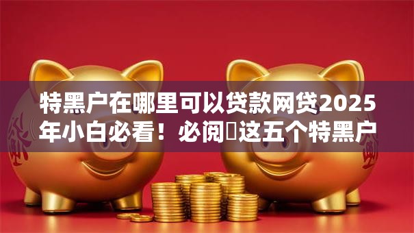 特黑户在哪里可以贷款网贷2025年小白必看！必阅​这五个特黑户在平台可以借钱网贷