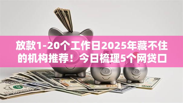 放款1-20个工作日2025年藏不住的机构推荐！今日梳理5个网贷口子放款1到20个工作日