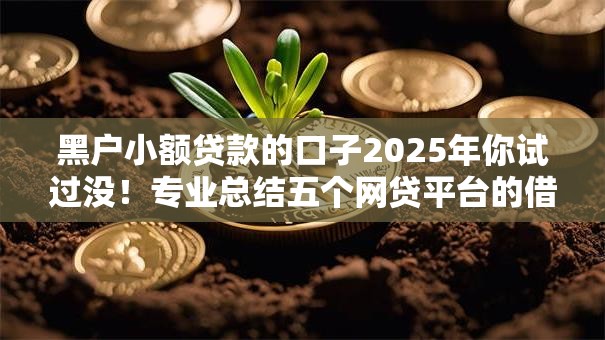 黑户小额贷款的口子2025年你试过没！专业总结五个网贷平台的借钱口子
