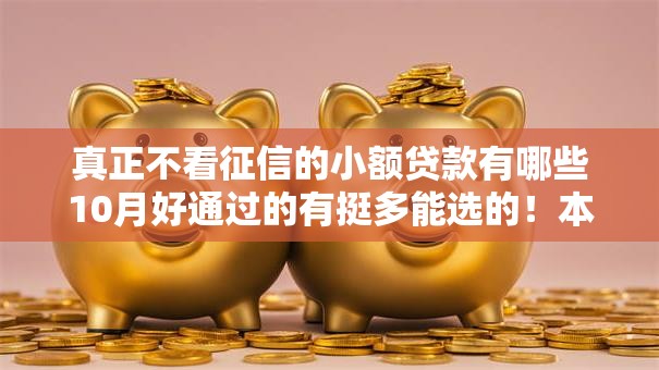 真正不看征信的小额贷款有哪些10月好通过的有挺多能选的!本文深入品评这五个借款口子! 真正不看征信的小额贷款有哪些10月好通过的有挺多能选的!本文深入品评这五个借款口子!