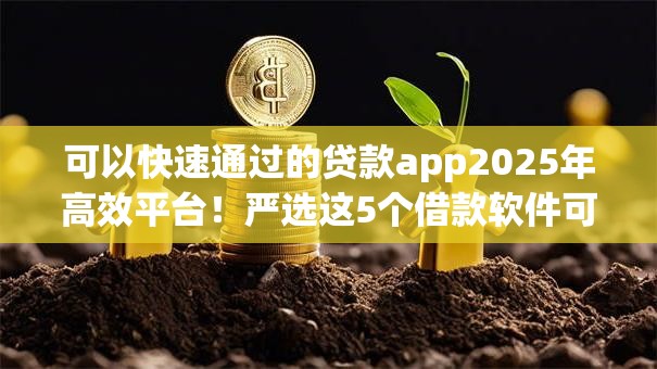 可以快速通过的贷款app2025年高效平台！严选这5个借款软件可以快速通过
