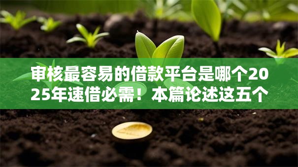 审核最容易的借款平台是哪个2025年速借必需！本篇论述这五个审核最容易的网贷口子是软件