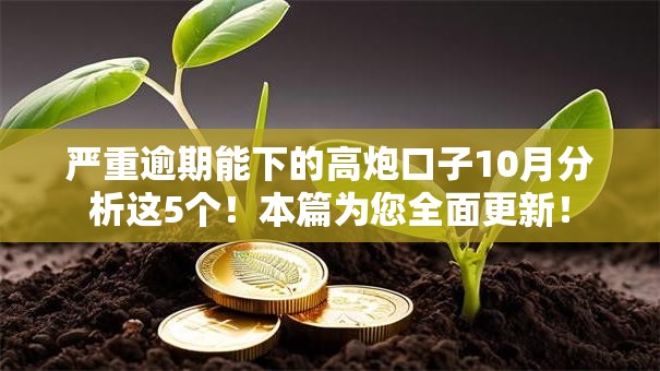 严重逾期能下的高炮口子10月分析这5个！本篇为您全面更新！