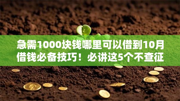 急需1000块钱哪里可以借到10月借钱必备技巧！必讲这5个不查征信不查信用的小额贷款