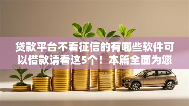 贷款平台不看征信的有哪些软件可以借款请看这5个！本篇全面为您介绍！