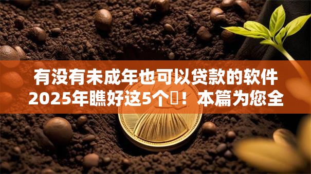 有没有未成年也可以贷款的软件2025年瞧好这5个​！本篇为您全面展示！