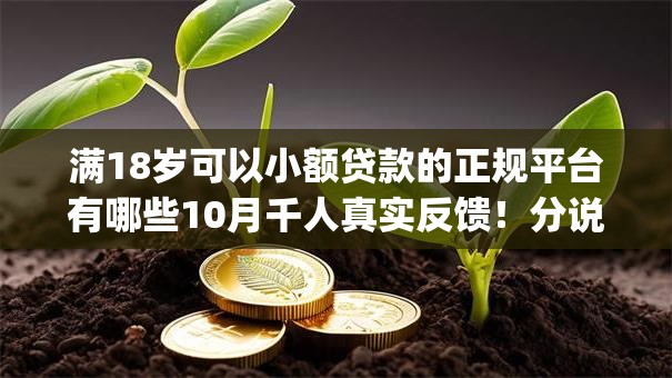 满18岁可以小额贷款的正规平台有哪些10月千人真实反馈！分说这五个分期借钱的app