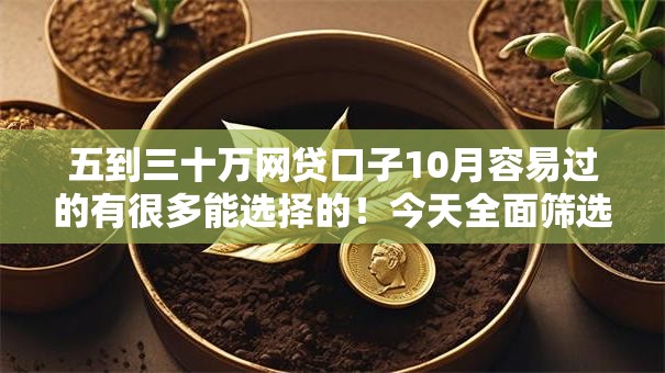 五到三十万网贷口子10月容易过的有很多能选择的！今天全面筛选这5个黑户借款平台！