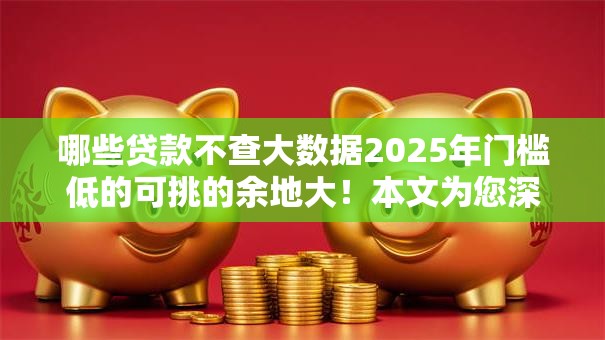 哪些贷款不查大数据2025年门槛低的可挑的余地大！本文为您深入揭秘这五个黑户借款平台！