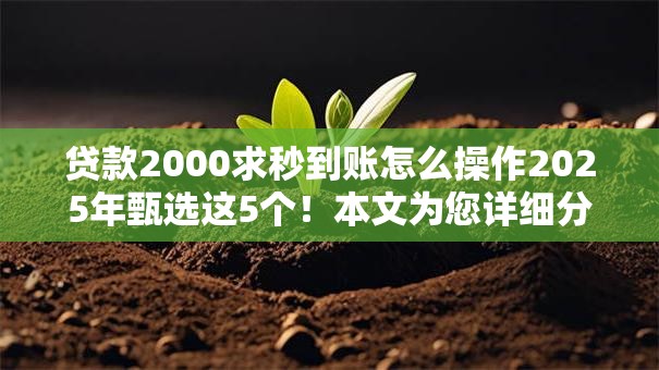 贷款2000求秒到账怎么操作2025年甄选这5个！本文为您详细分析！