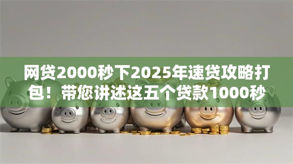 网贷2000秒下2025年速贷攻略打包！带您讲述这五个贷款1000秒下款
