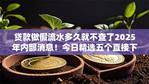贷款做假流水多久就不查了2025年内部消息！今日精选五个直接下款的贷款软件