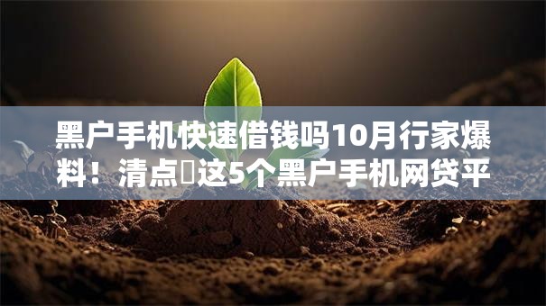 黑户手机快速借钱吗10月行家爆料！清点​这5个黑户手机网贷平台快速贷款