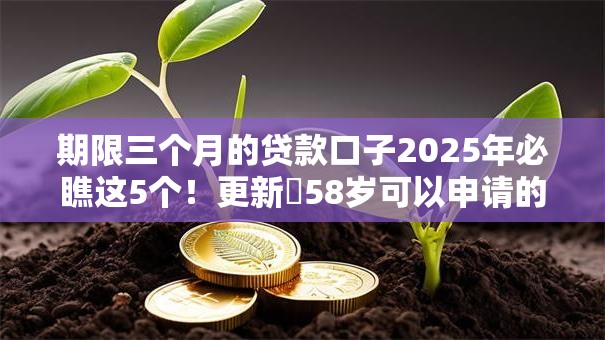 期限三个月的贷款口子2025年必瞧这5个！更新​58岁可以申请的网贷