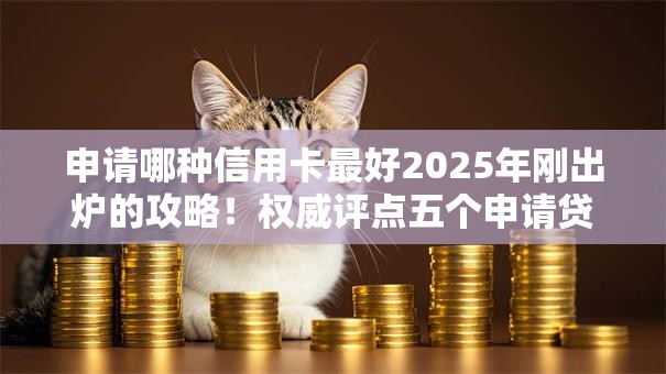 申请哪种信用卡最好2025年刚出炉的攻略！权威评点五个申请贷款网贷借钱口子最好