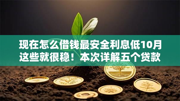 现在怎么借钱最安全利息低10月这些就很稳！本次详解五个贷款软件现在安全利息低