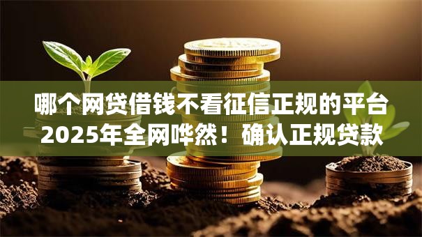 哪个网贷借钱不看征信正规的平台2025年全网哗然！确认正规贷款app不看征信借款口子