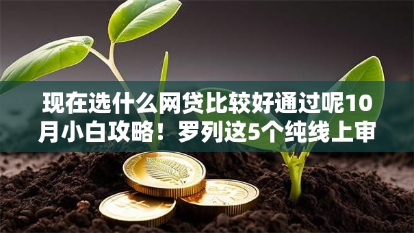 现在选什么网贷比较好通过呢10月小白攻略！罗列这5个纯线上审批的贷款