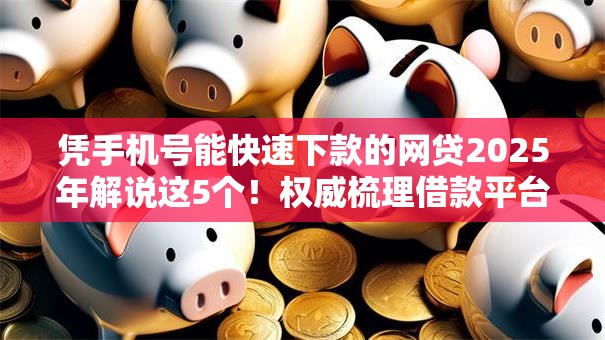 凭手机号能快速下款的网贷2025年解说这5个！权威梳理借款平台手机号快速到账