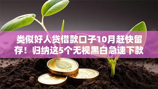 类似好人贷借款口子10月赶快留存！归纳这5个无视黑白急速下款口子